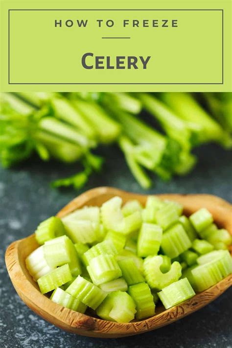 Can i freeze celery. Things To Know About Can i freeze celery. 
